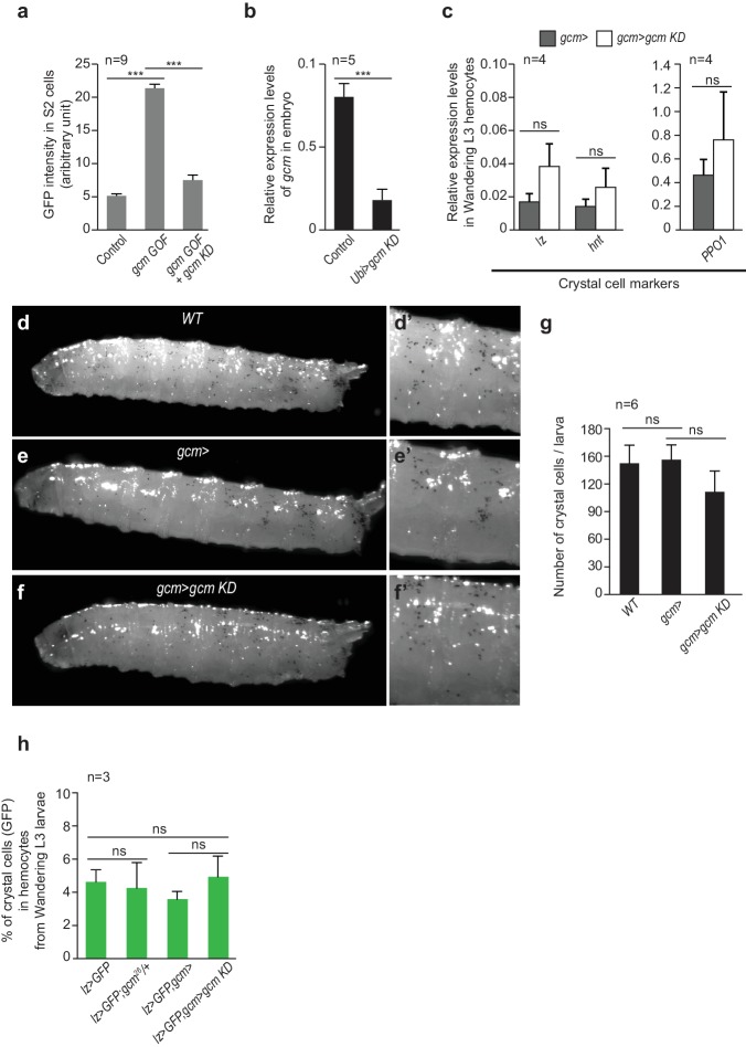 Figure 1—figure supplement 3.