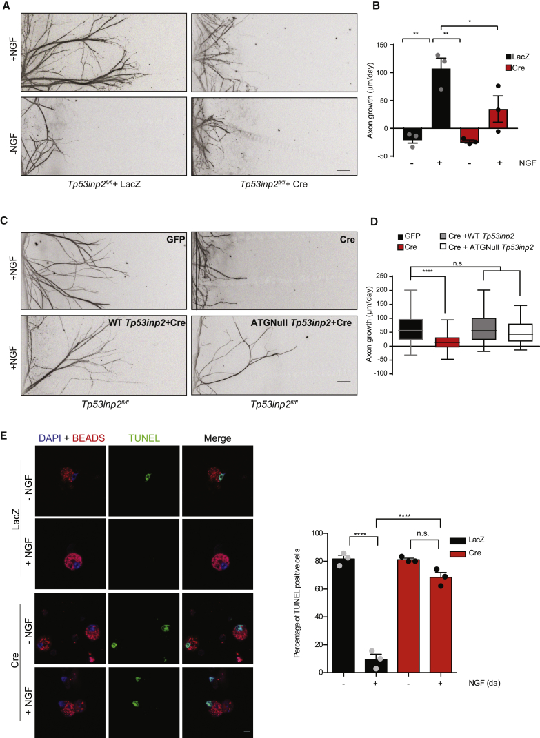 Figure 3