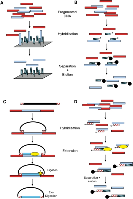 Figure 1.