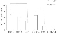 Fig. 6