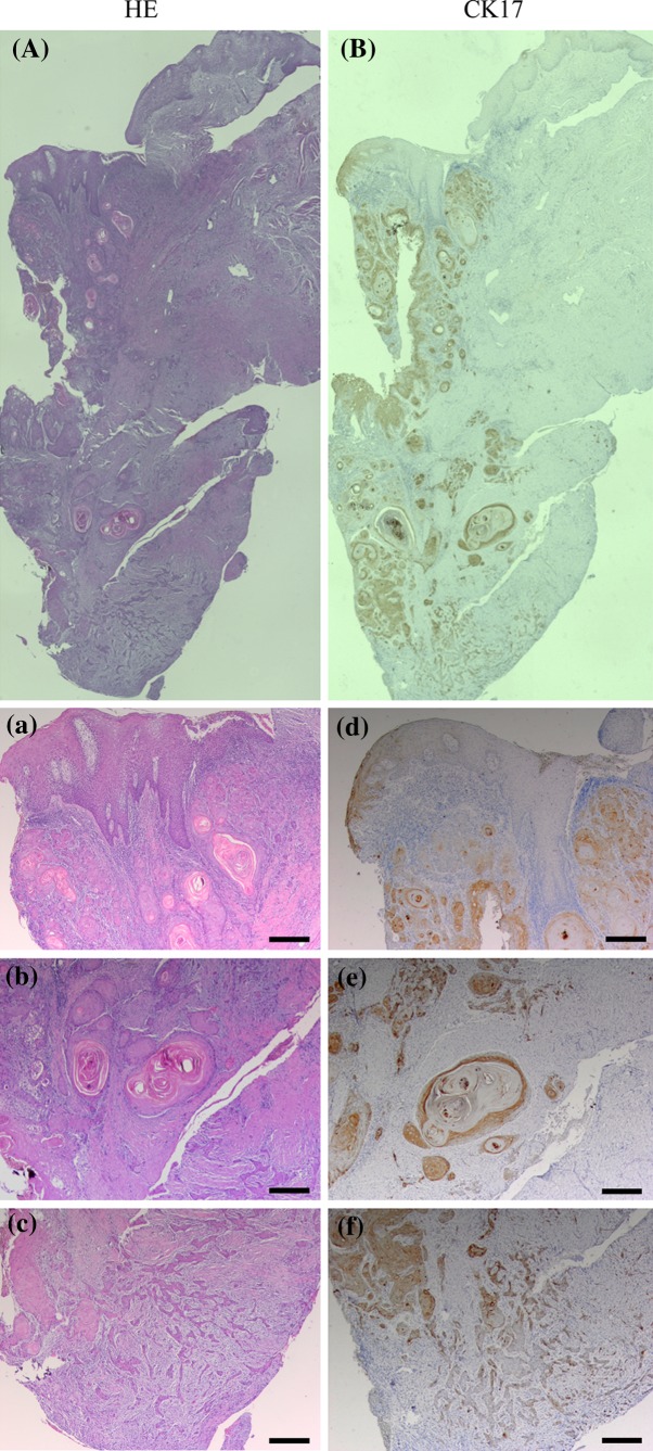 Fig. 2