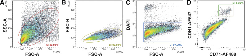 Fig. 2.