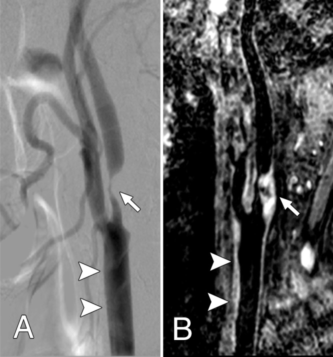 Figure 4: