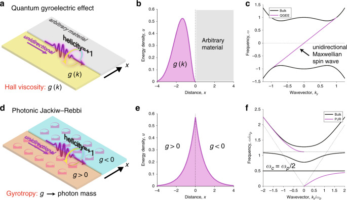 Fig. 10