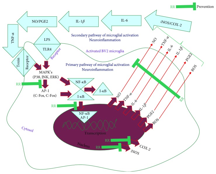 Figure 9