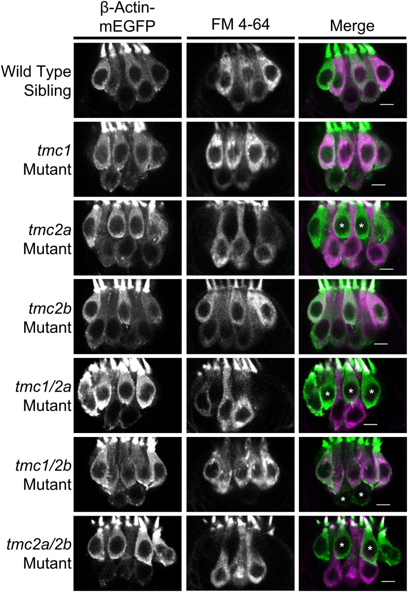 Figure 10.