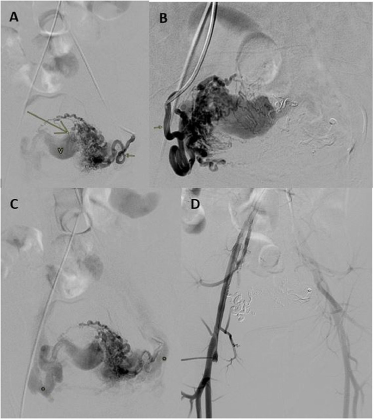 Fig. 3