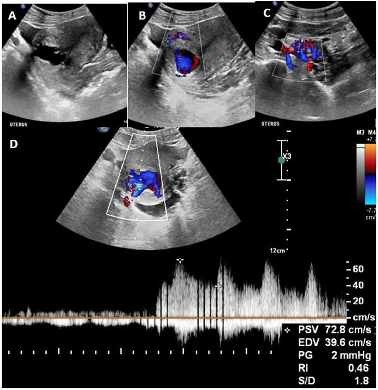 Fig. 1