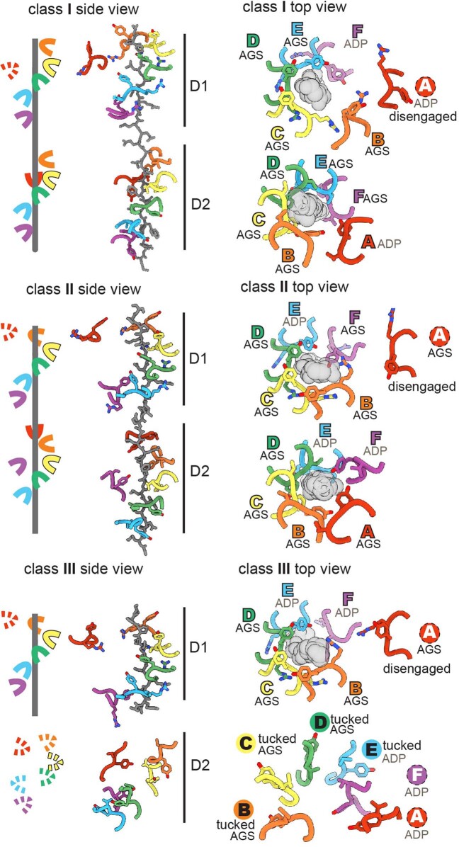 Extended Data Fig. 6