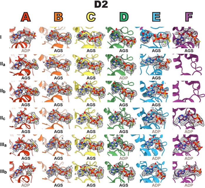 Extended Data Fig. 5