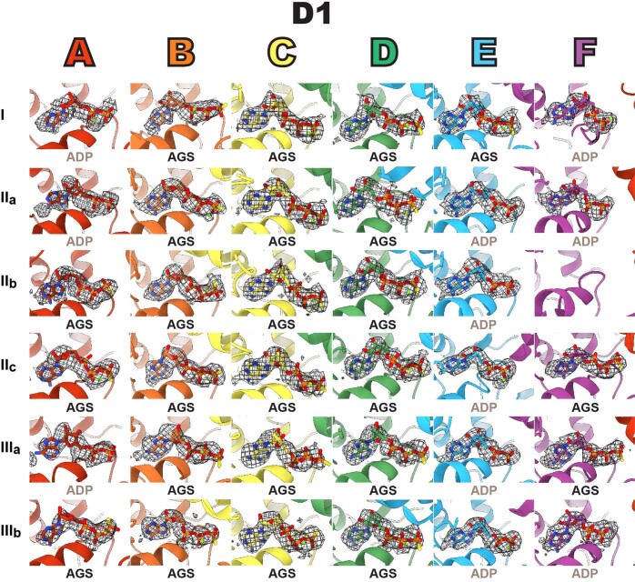 Extended Data Fig. 4