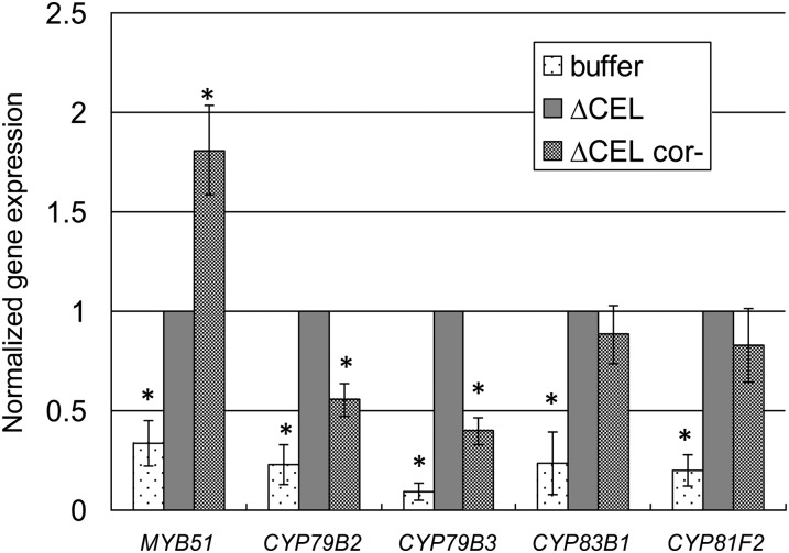 Figure 6.