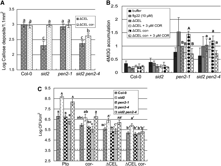 Figure 5.