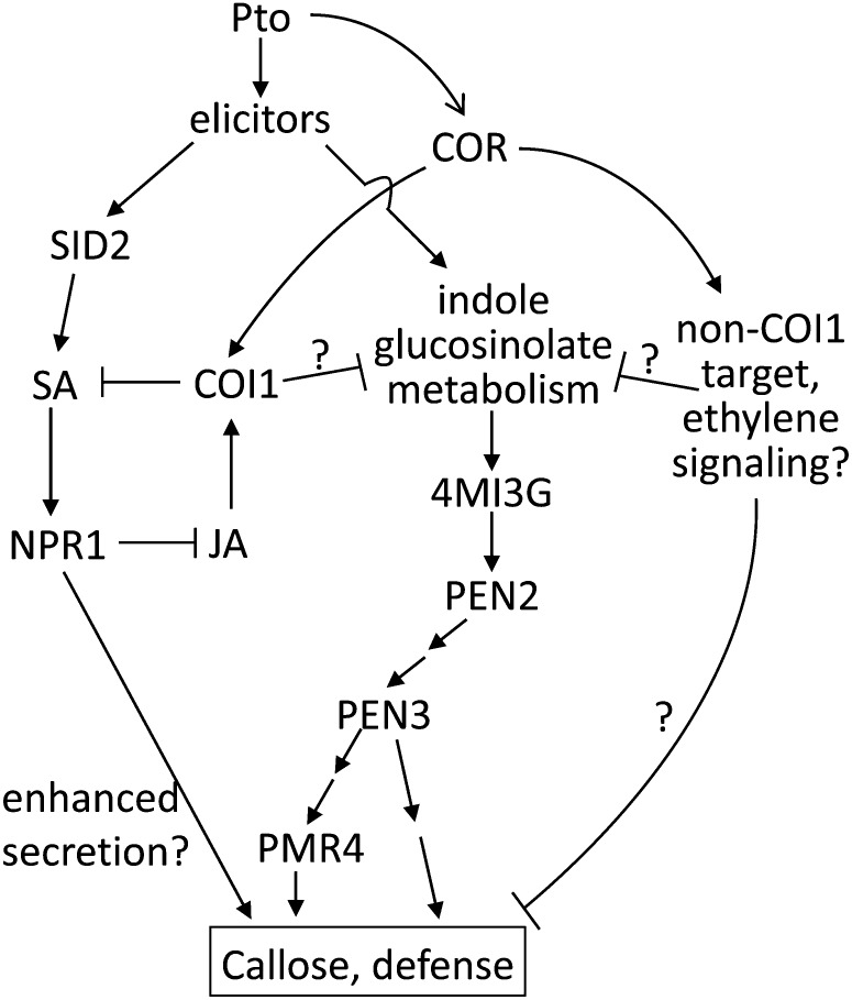 Figure 7.