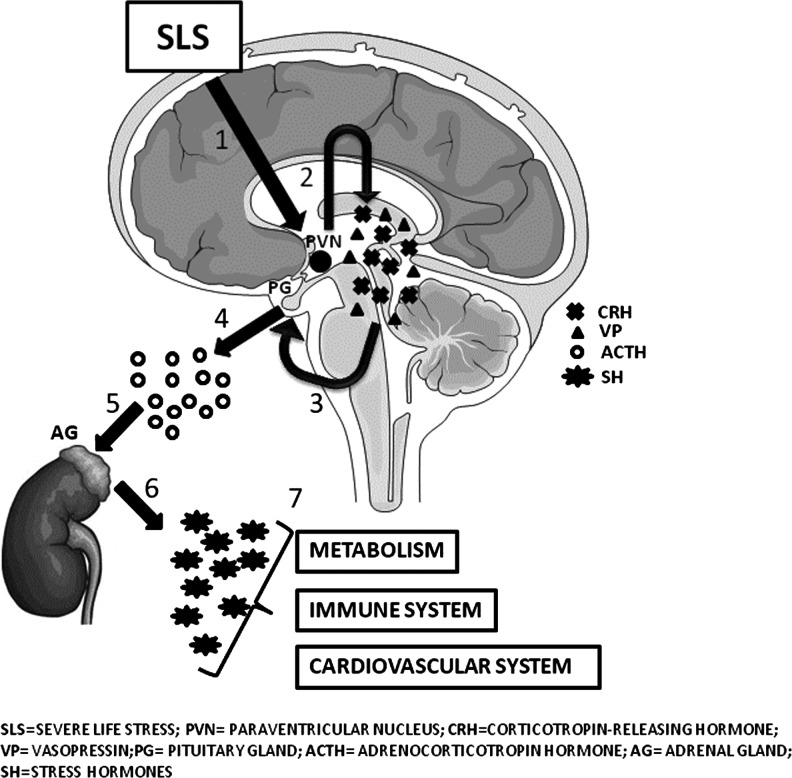 FIG. 2.