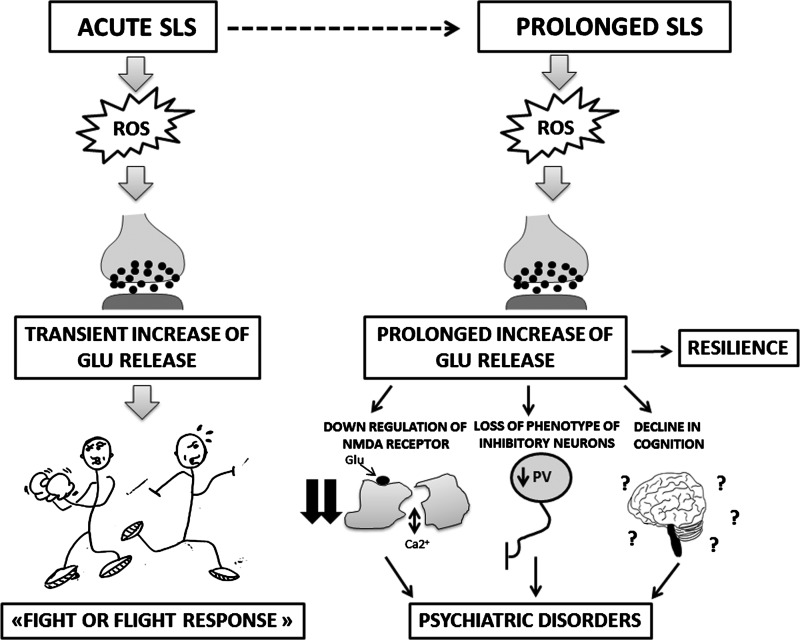 FIG. 6.