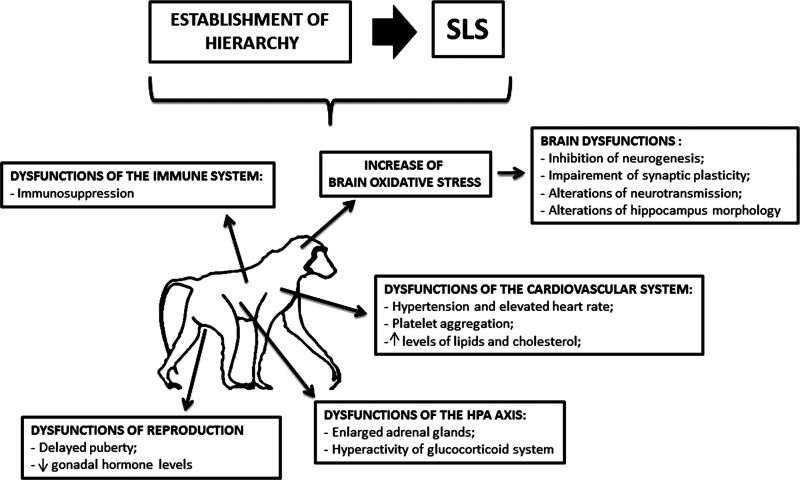 FIG. 5.