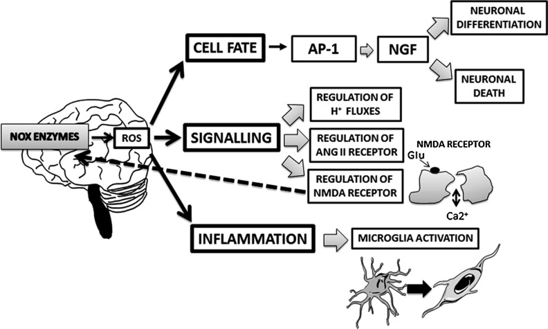 FIG. 1.