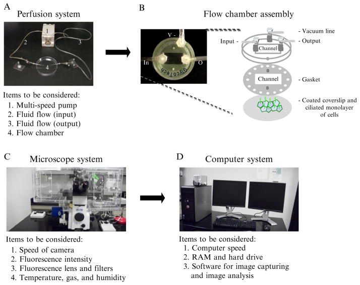 Figure 1.3