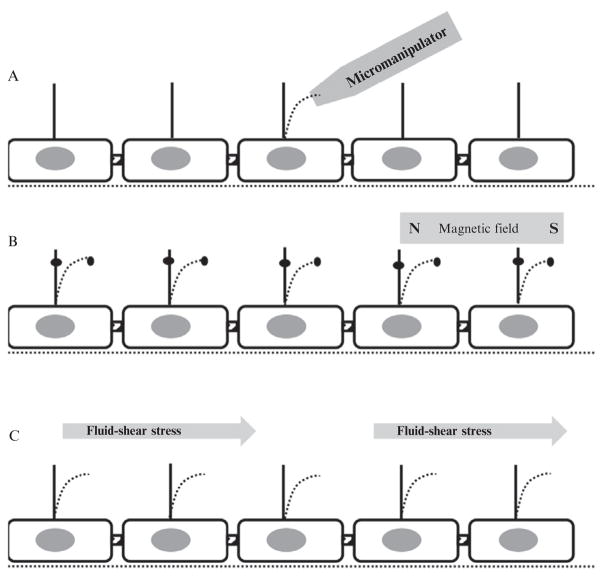 Figure 1.2