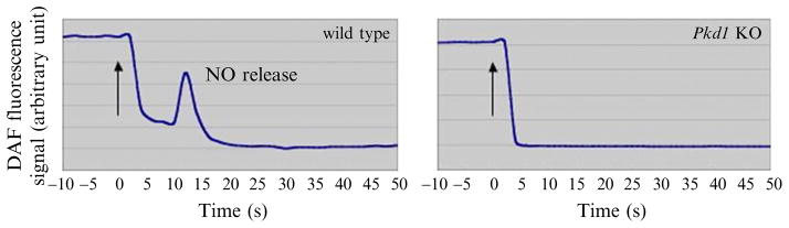 Figure 1.5