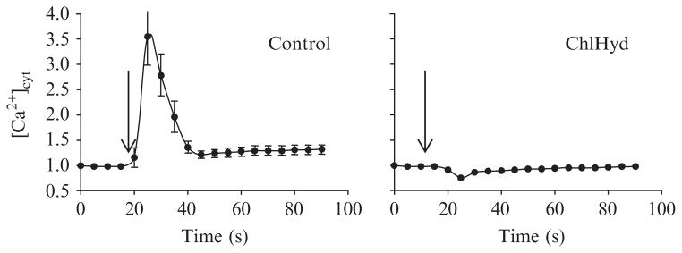 Figure 1.4