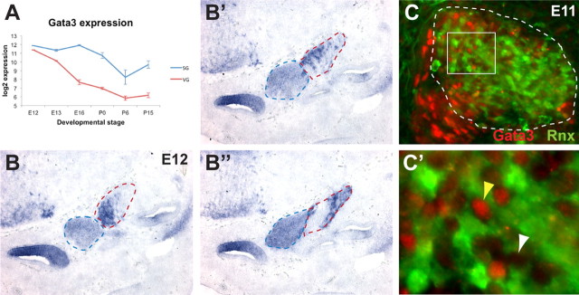 Figure 6.