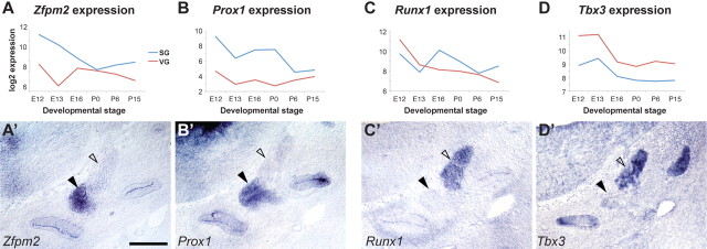 Figure 7.