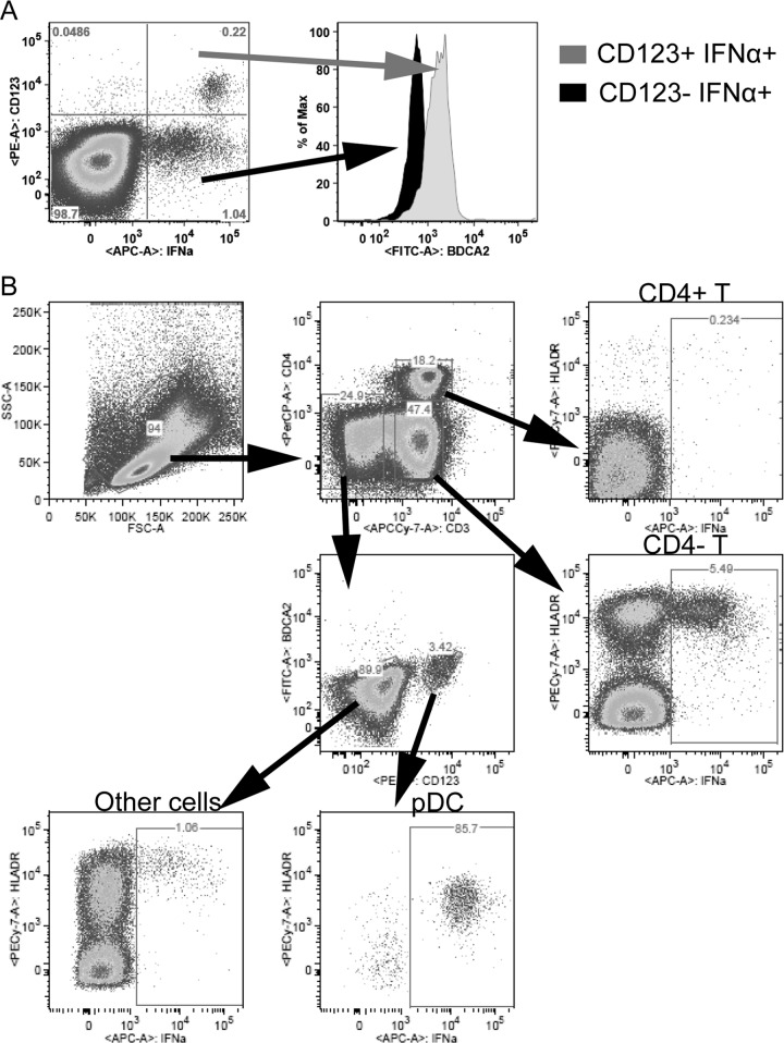 FIG 4