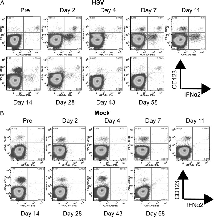 FIG 3