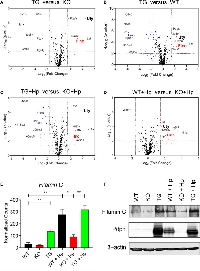 Figure 5