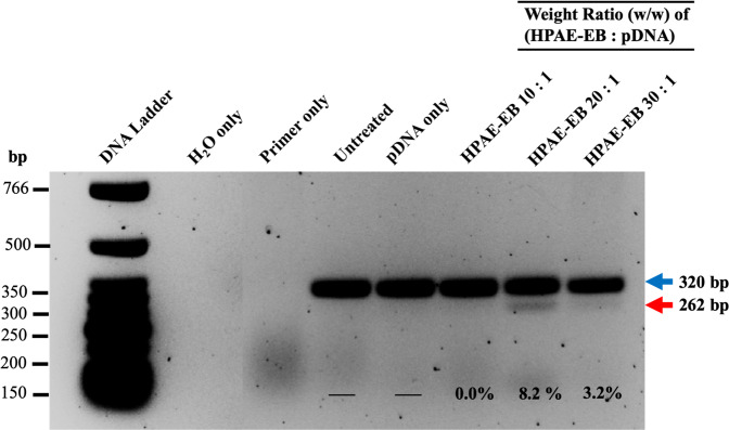 Fig. 12