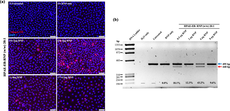 Fig. 13