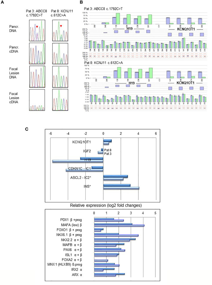 Figure 2