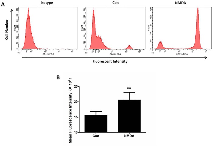 Fig 6