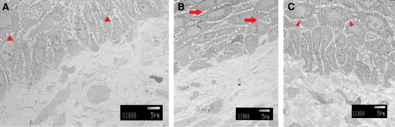 Fig 4.