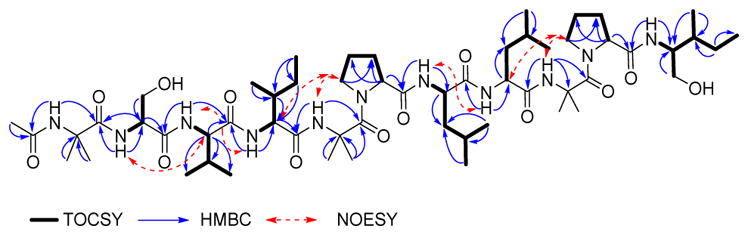 Fig. 3