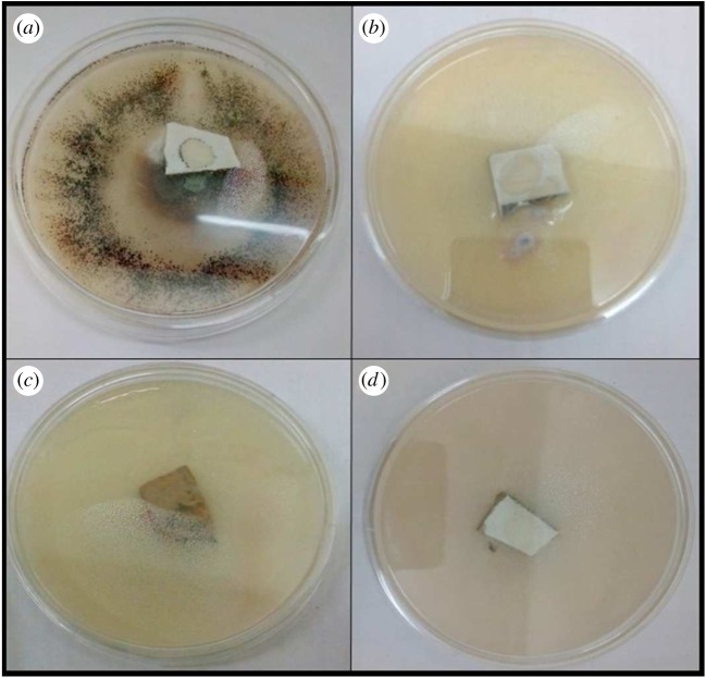 Figure 11.