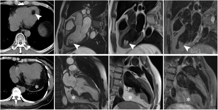 Fig. 5