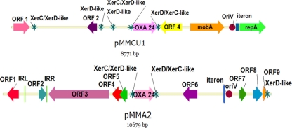 FIG. 1.