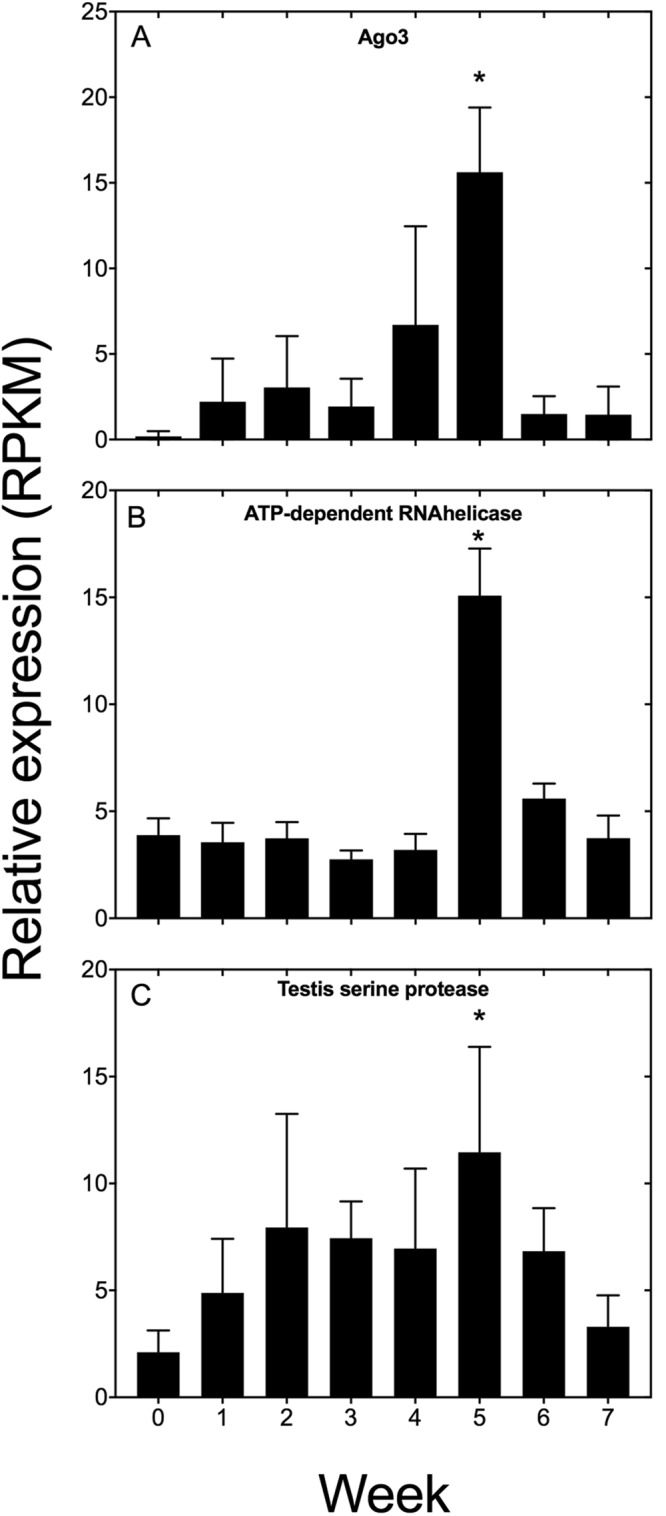 Figure 5