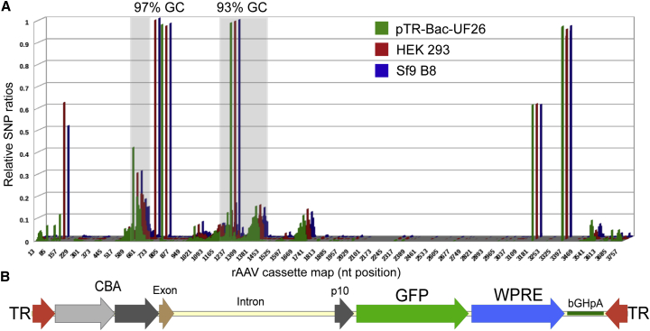 Figure 6