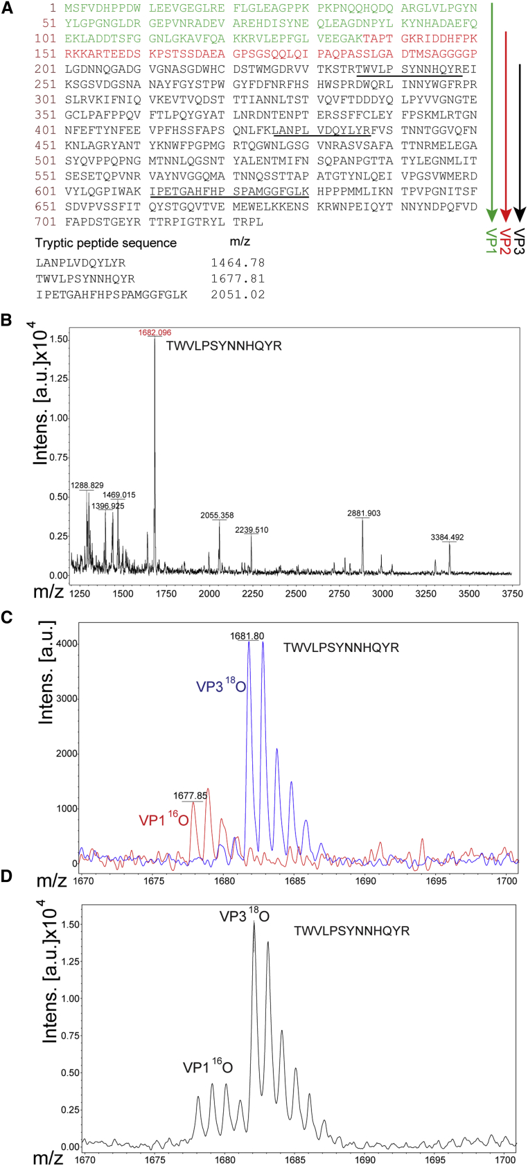 Figure 2