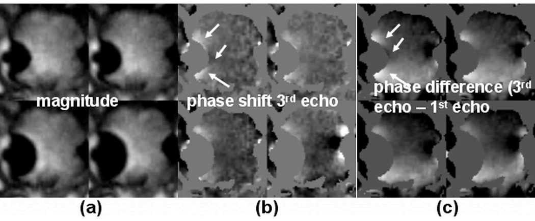 Fig. 8