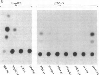 graphic file with name pnas01085-0209-a.jpg