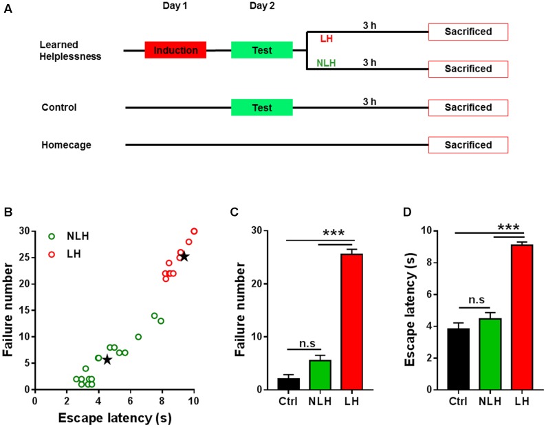 FIGURE 1