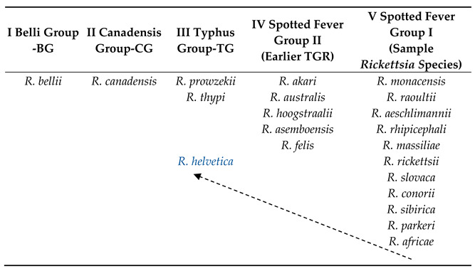 graphic file with name pathogens-13-00661-i001.jpg