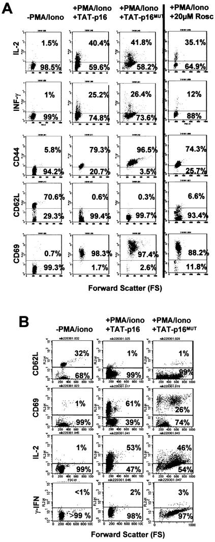 FIG. 4.