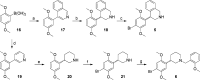 Scheme 2