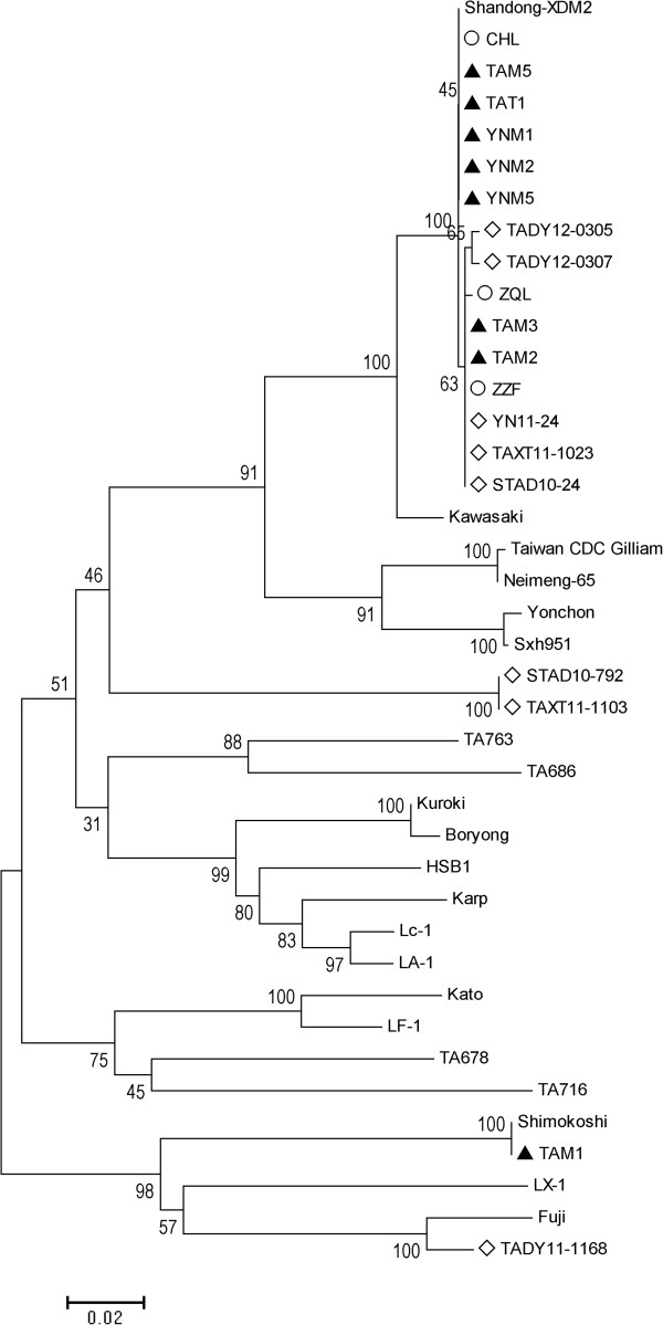 Figure 2